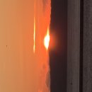 달곰씁쓸 여러번 새해복 많이받으세요 이미지