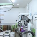 메디펫우리동물병원 이미지