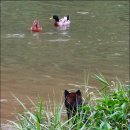 오리사냥 2 이미지