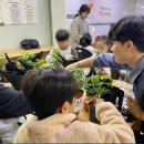 진해구 ⓒ-25 이미지