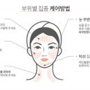 오로라 플러스 이미지