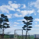 서산시동물보호센터 | 서산 동물보호센터 무료 애견 운동장 다녀온 후기 장단점 소개드려요