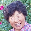 박영준농장 네이버블로그
