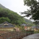 신령세탁소 네이버블로그