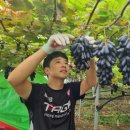 사파이어로 이미지