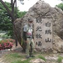 입석목장 Daum카페