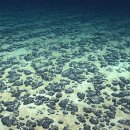 미국 해양대기청(NOAA)은 최근 미국의 해저 광물 채굴 움직임에서 심해 광물 개발 계획을 진전시켰습니다. 이미지