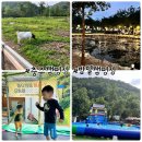 수영목장 | 충주 캠핑장 추천 밤별캠핑장, 애견 동반 가능