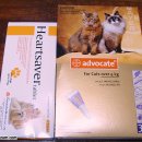 계명축산약품상사 | 저렴하게 반려동물 약(심장사상충약) 사기. 서울축산동물병원 방문기, 전국 동물약국 주소와 연락처