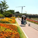 황룡강변2 이미지