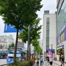 [내돈내산] 헬스보이짐 프리미엄 신촌점 리얼후기 도심속 호텔급 시설 헬스장 수영장