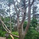 인제 암반수 헬스 사우나 이미지