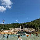오션 | 오션월드 극성수기 후기 입장권부터 대기시간 준비물 꿀팁