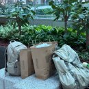 추자동 산8-1 | 엄마랑 유럽여행 스위스 루체른 2박 후기 <사실상 리기산 투어>