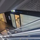 서울숲내과의원 이미지