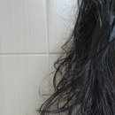 솔바람미용실 - 강서구 공항로811번길 47 | 미용실 헤어 미스트, 헤어 퍼퓸 미스트 물씬 사용후기.
