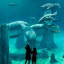 리버퀘스트 이미지