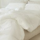 풍성이불집 이미지