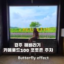 해바라기카페 - 포천시 구절초로 18 | 경주 해바라기 카페 로드 100 해바라기 포토존 솔직후기