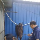 부경목장 이미지