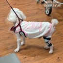 편한보조기 이미지