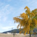 청도읍성 바깥쪽 이미지