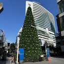 한국맥도날드(유)보라매점 | [해외] 태국 4박 5일. 방콕은 유명한 느좋 도시임. 마무리의 4일차.