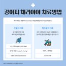 상록동물병원 이미지