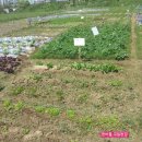 버들농장 이미지