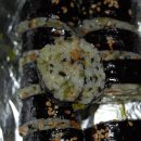땡초김밥 이미지