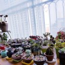 새라새 요양병원 이미지