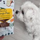 델리쿡 | 강아지사료 강아지사료추천 강아지저알러지사료 델리쿡