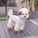 슈앤트리 이미지