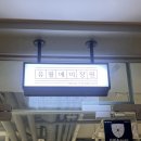 강아지미장원 | 광교미용실 찾다가 정착한 광교남자머리 광교아이롱펌 유월애미장원 광교점