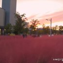 혁신도시중앙공원 이미지