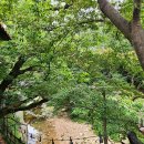 옥류헌릴렉스 이미지