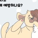 포레 동물병원 이미지