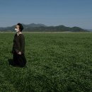 삼호 태양광발전소 이미지