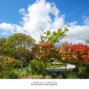 태화강국가정원 이미지