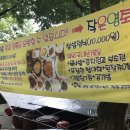 작은영토 이미지