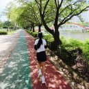 희망체육공원 | [안산호수공원 가볼만한곳] 도심 속 힐링 스팟! 산책 &amp; 3.7km 러닝코스 완벽 정리 (주차 팁)