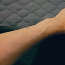 은판나비화장실 이미지