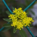 낙동정맥트레일 이미지