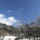 알프스클럽펜션 이미지