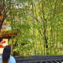 향교옆길 이미지