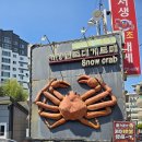 서생원조대게 | 부산 기장 맛집 | 애견 동반 가능한 대게 맛집 서생원조대게 내돈내산 후기