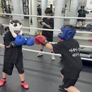 더블에이치 복싱짐 이미지