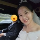 W. 웨딩카 웨딩택시로 아이엠택시(i.M 택시) 사전예약 내돈내산 후기
