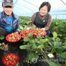 김현중농장 이미지