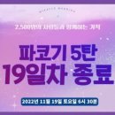 파란코끼리
